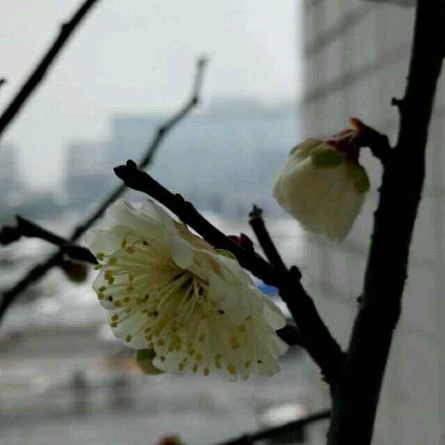 1586074 王栋