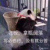 QQ头像