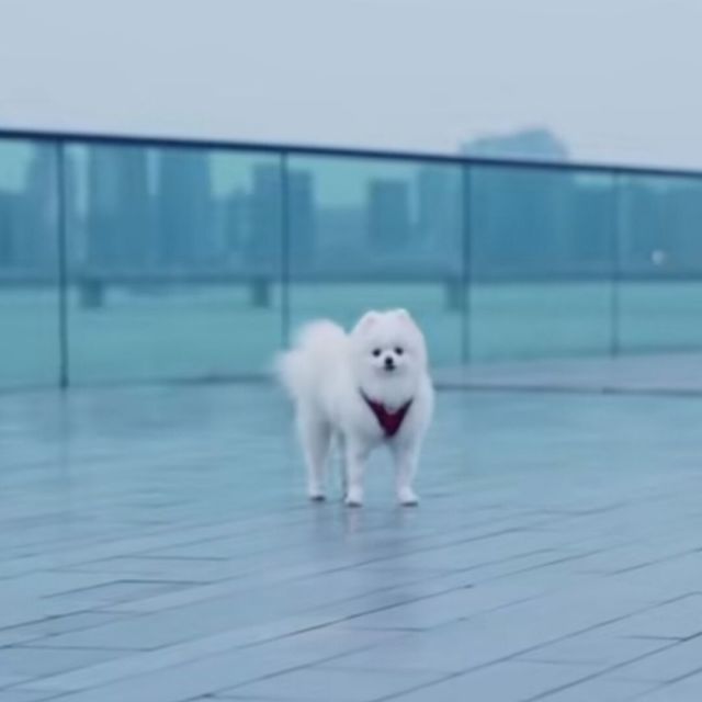 1586977 一米阳光