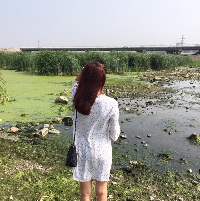 1587738 水木年华