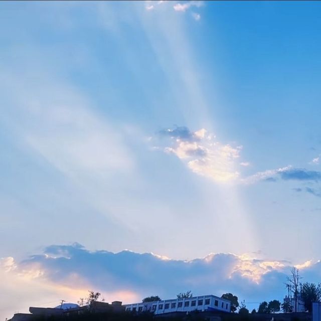 1587887 保尔·柯察晶