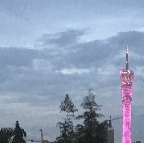 1587959 运研