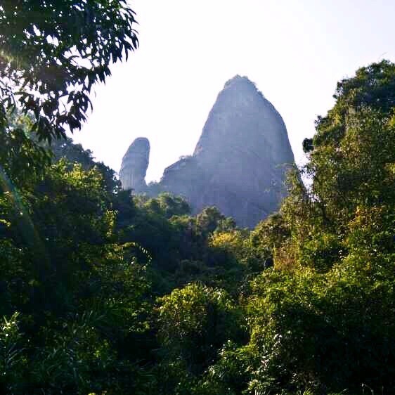 1588055 阿坚头