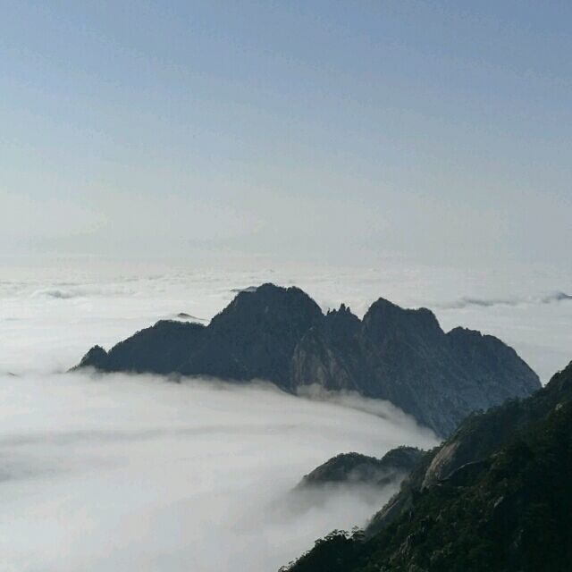 158815 *老头船长*