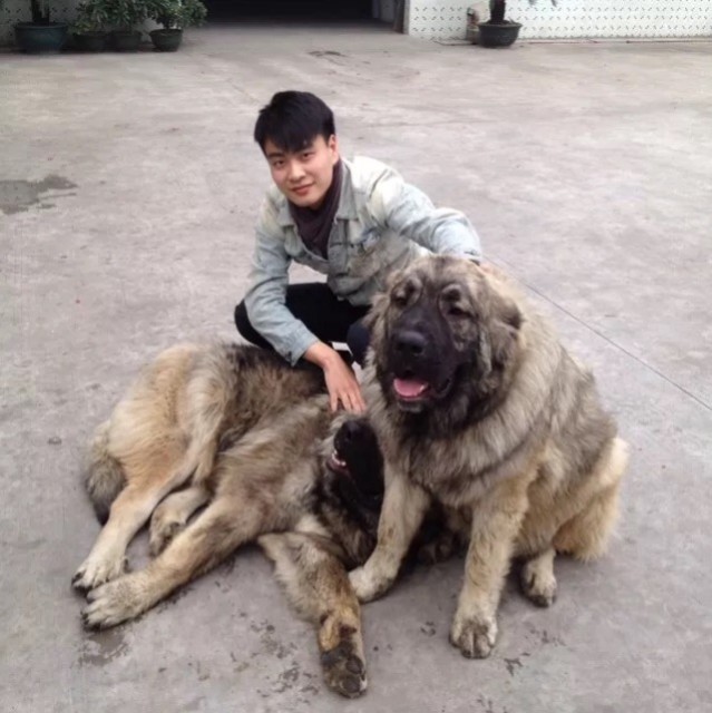 1588787 Roger_吴先生