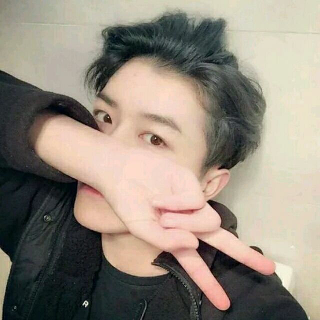 1589111 Crazy、文枫
