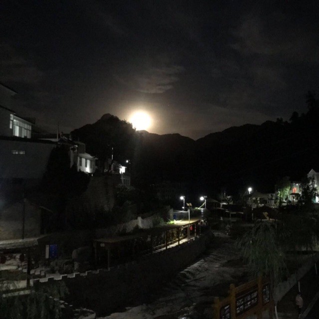 1589165 长不出的智齿