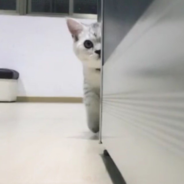 1590184 三番先生