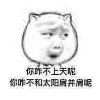 1591453 