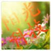 1591526 メ宾县阳光科技一店ヾ