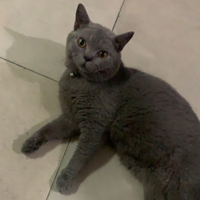 1592186 诡案