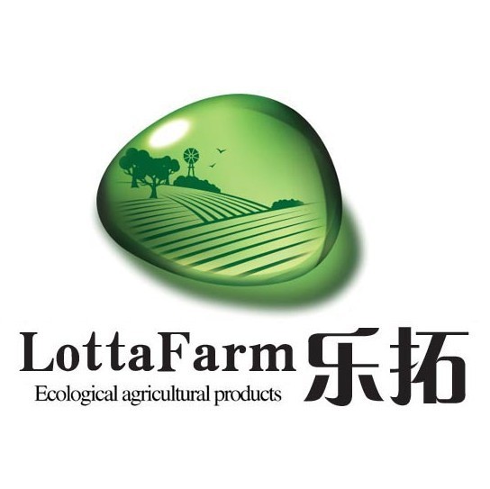1592741 专注