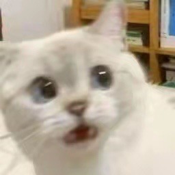 1592773 