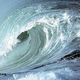 1593150 怒海神鹰