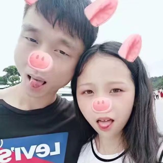 159377 Rabbit