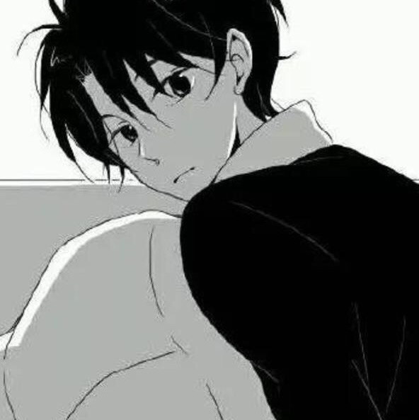 1594095 夏