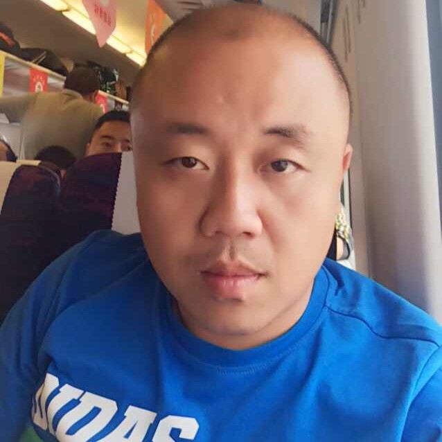 159454 逆风飞翔