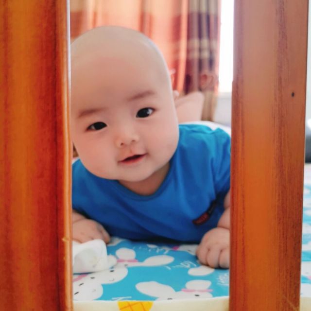 1594866 别无所求