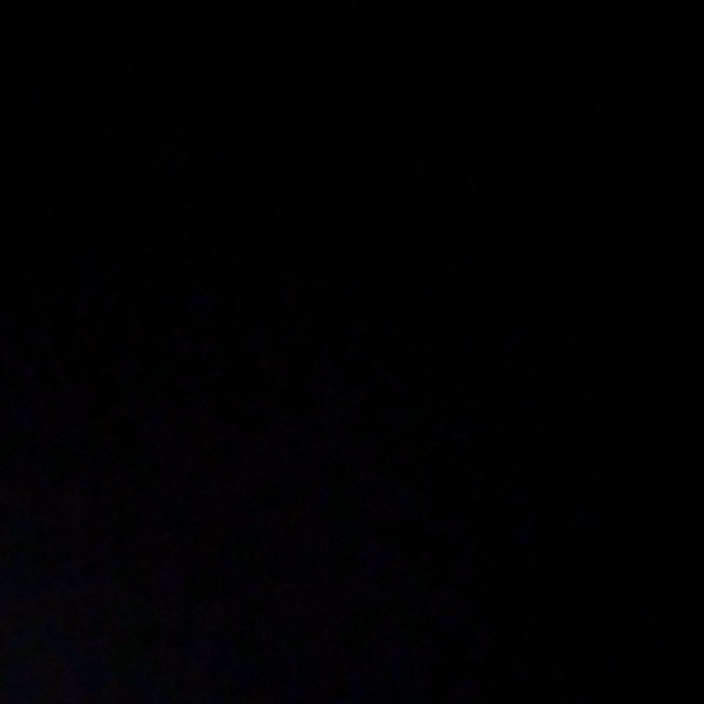 159491 