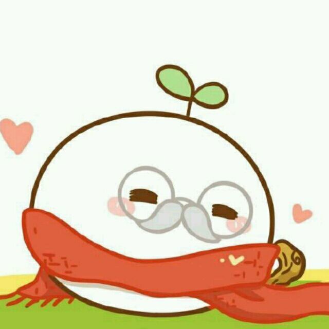 1595555 豺狼