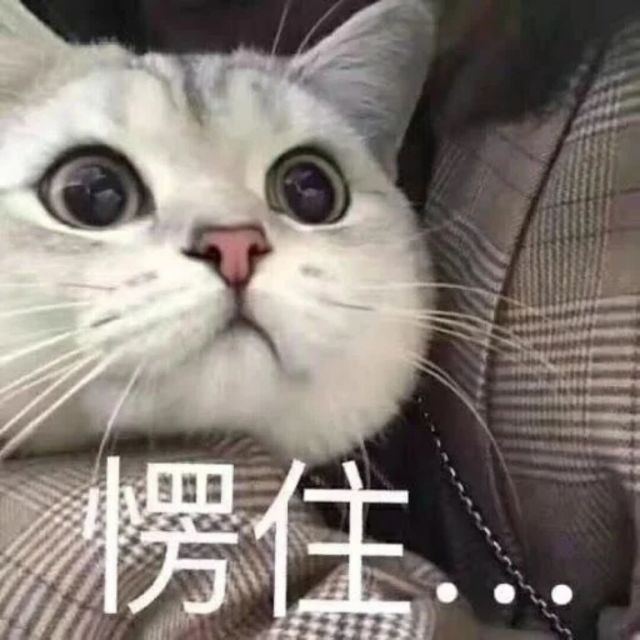 1596330 星云
