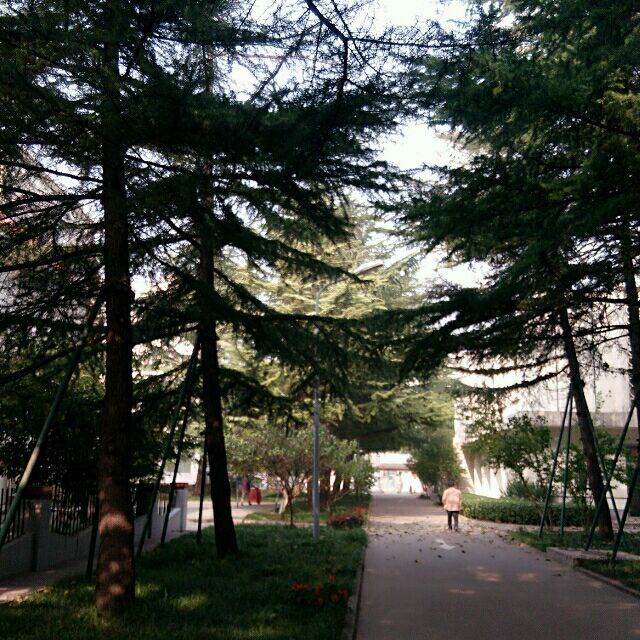 1596625 ㄣ风轻云淡