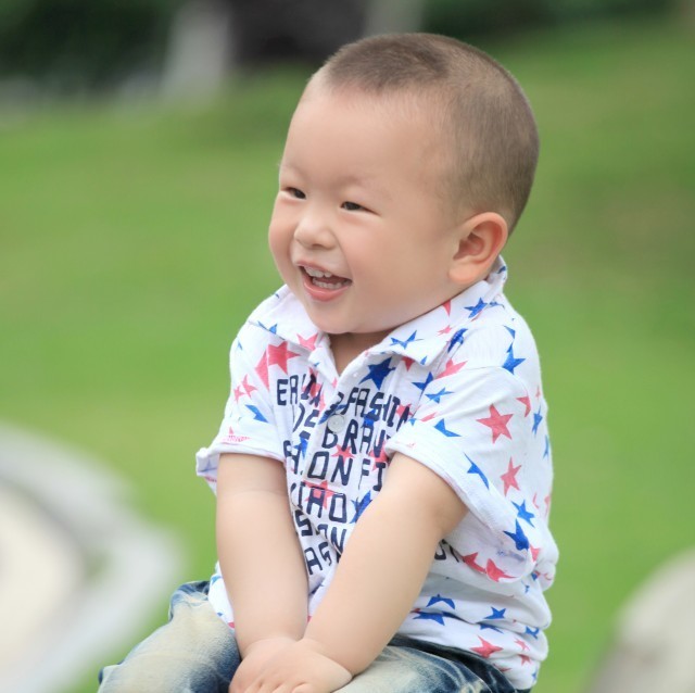 1597930 板栗