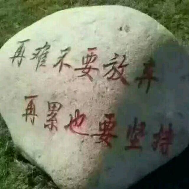 1598483 Ping