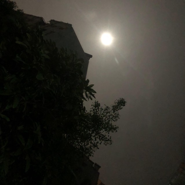 1598782 忽然~受宠~