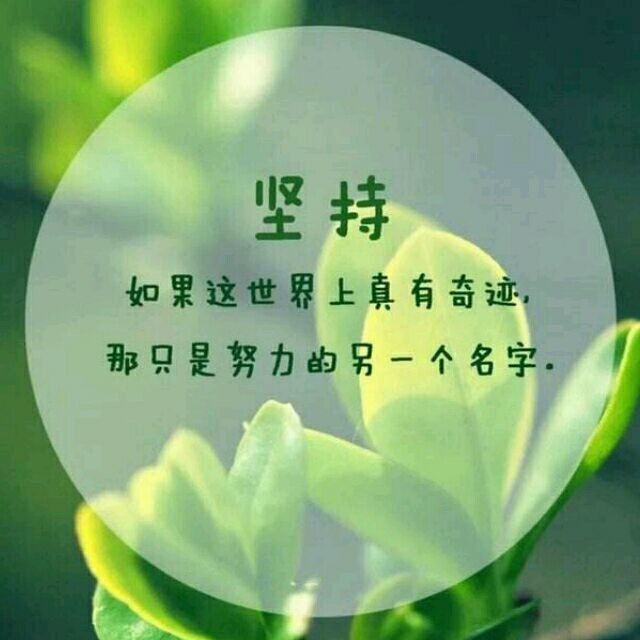 1599923 努力活着