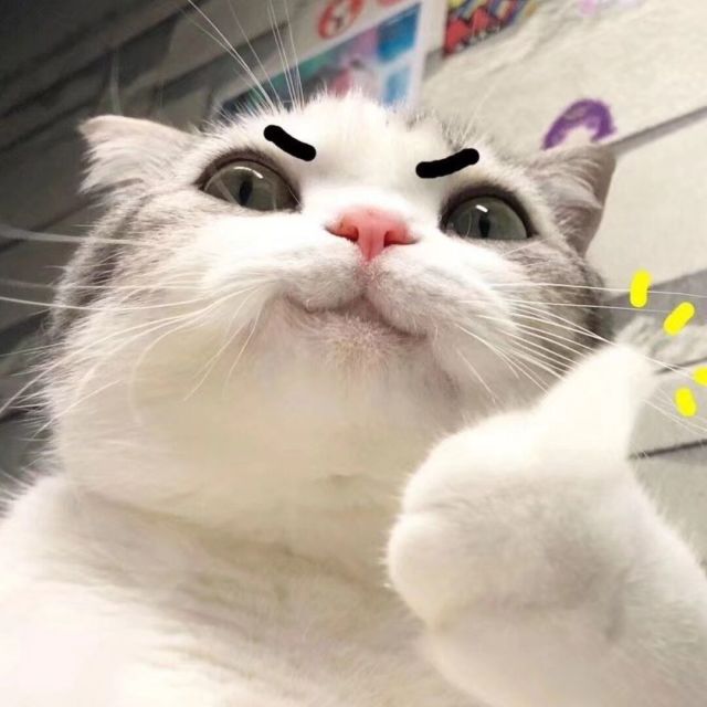 1600342 绿色