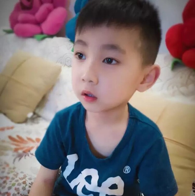 1601777 大宝天天见