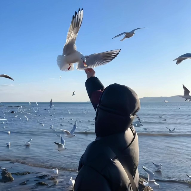 1602660 ✟公瑾