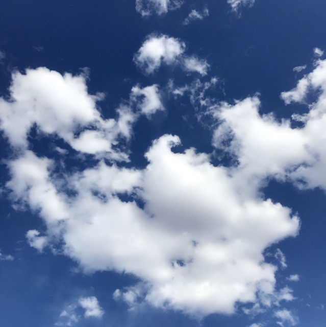 1603830 丿 未來以後○●○