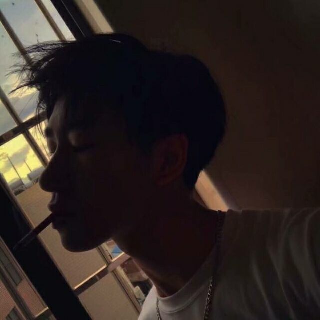 1604590 Kryo