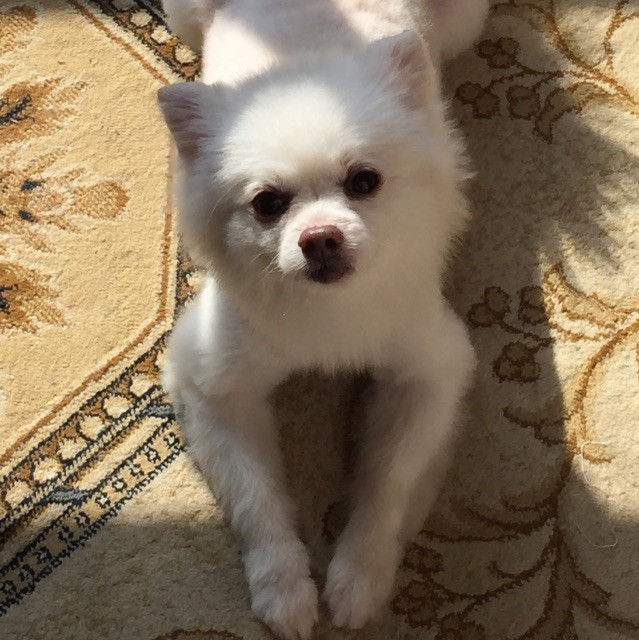 1605454 龚龚