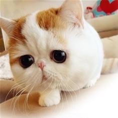 160684 開始╰❤懷念