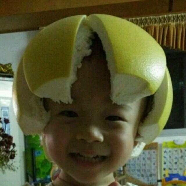 160909 猪是念来过倒