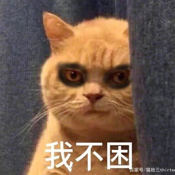 1610108 美国副队长