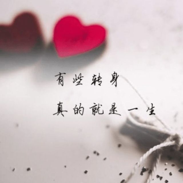 1621753 雨林木风