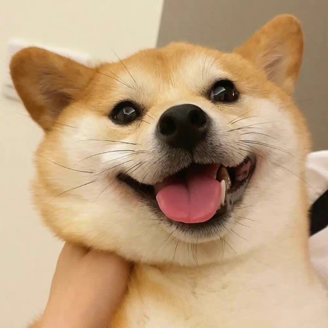 1626605 ℡情續半生℡