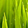 1626966 HTC