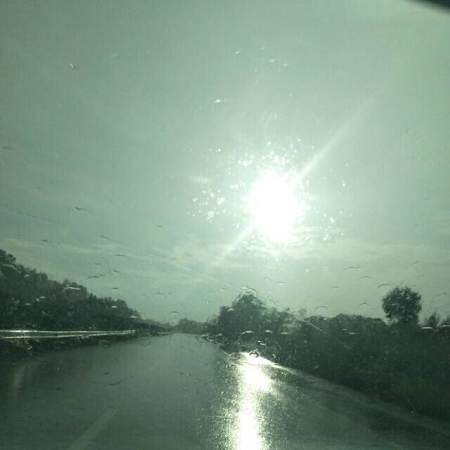 164081 法号九点