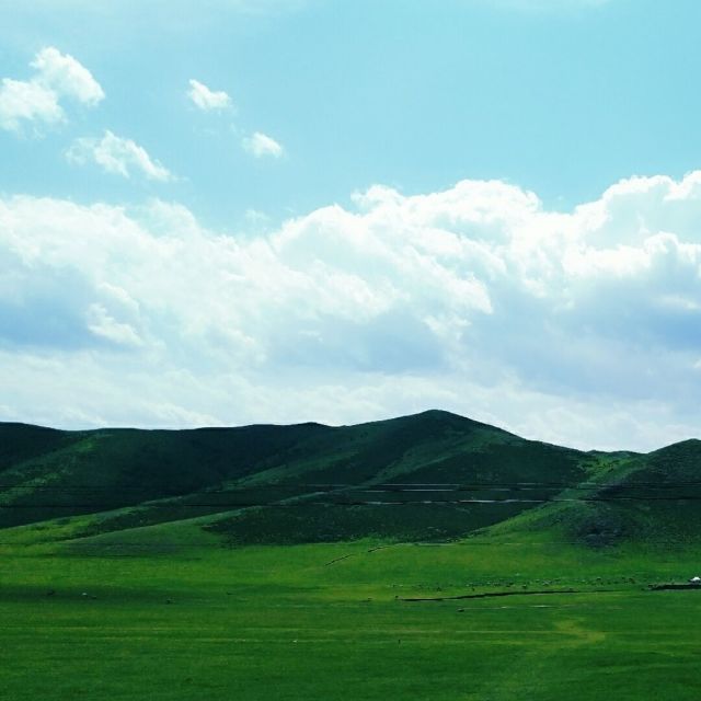 164088 佟