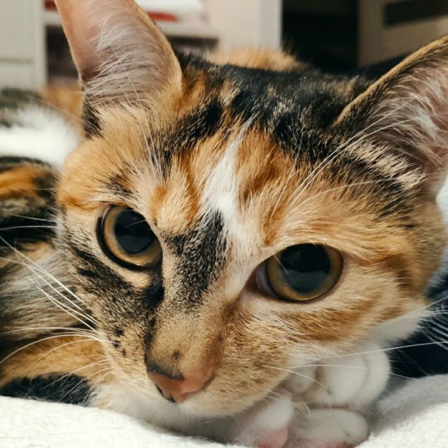164178  木然心