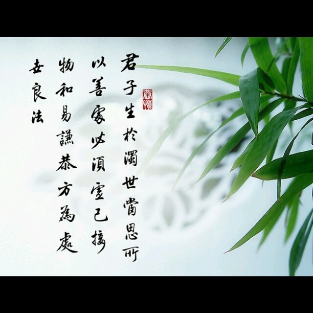 1642918 浅看人生