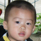 1648511 美丽人生