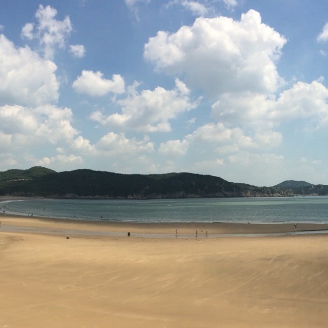 1650238 飘