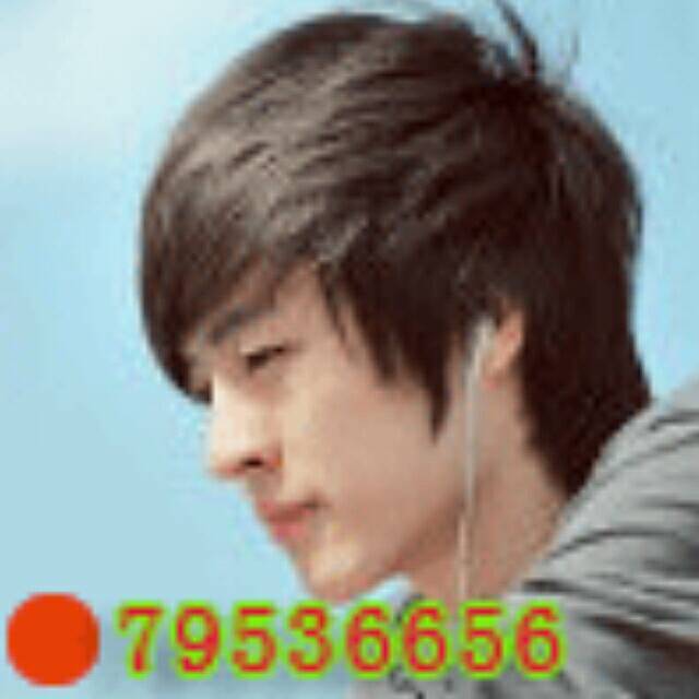 1659992 悬铃木