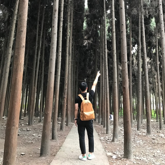 166142  張火火〃